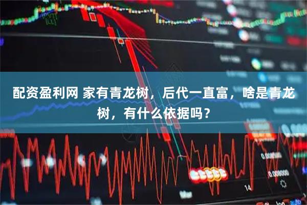 配资盈利网 家有青龙树，后代一直富，啥是青龙树，有什么依据吗？